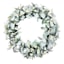 Providence Eucalyptus Wreath, 24"