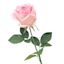 Pink Real Feel Rose Floral Stem, 27"
