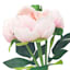 Pink Real Feel Peony Floral Bush, 12"