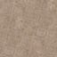 (C202) Hayne Neutral Floral Shag Area Rug, 8x10
