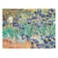 Irises Canvas Wall Art, 36x27