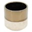 Found & Fable Indoor Two-Tone Gold & Neutral Pot, 5.5"