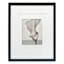 16x20 Black Ornate Matted to 8x10 Wall Frame