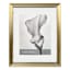 Gold Ornate Floating Wall Frame, 16x20