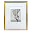 16x20 Gold Ornate Matted to 8x10 Wall Frame