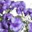 Purple Water-Resistant Petunia Floral Bush, 19"
