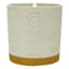 Honeybloom Reagan White Flower Stamp Toothbrush Holder, 4.5"