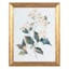 Providence Glass Framed Floral Print Wall Art, 16x20