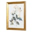 Providence Glass Framed Floral Print Wall Art, 16x20
