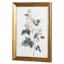 Providence Glass Framed Floral Print Wall Art, 16x20