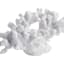 White Coral Figurine, 5"