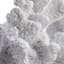 White Coral Figurine, 5"