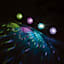 Multicolor AutoGlo Lights with Sound Sync
