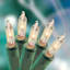 100-Count Clear Mini Lights with Green Wire