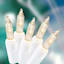 100-Count Clear Mini Lights with White Wire