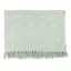 Providence Green Woven Slub Throw Blanket, 50x60