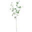 Willow Crossley Hanging Greenery Leaf Stem, 40"