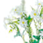 White Daisy Mixed Floral Bush, 19"