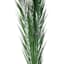 Found & Fable Kager Leaves, 3'-4'