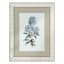 Found & Fable Glass Framed Floral Print Wall Art, 14x18