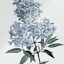 Found & Fable Glass Framed Floral Print Wall Art, 14x18