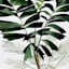 Providence Glass Framed Tropical Leaves Print Wall Art, 18x22