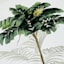 Providence Glass Framed Tropical Leaves Print Wall Art, 18x22