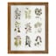 Honeybloom Glass Framed Floral Print Wall Art, 21x27