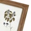 Honeybloom Glass Framed Floral Print Wall Art, 21x27
