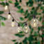 30-Count LED G40 Globe String Lights with Black Wire