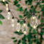 30-Count LED Edison String Lights with Black Wire