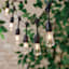 15-Count LED Filament Bulb Edison String Lights with Black Commercial Wire