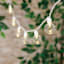 30-Count LED G40 Globe String Lights with White Wire