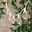 30-Count LED Edison String Lights with White Wire