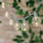30-Count LED G40 Globe String Lights with Grey Wire