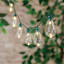 30-Count LED Edison String Lights with Green Wire