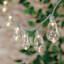 100-Count LED Edison String Lights with Grey Wire