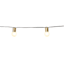 10-Count Frosted Glass Globe String Lights with Gold Base