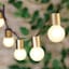 10-Count Frosted Glass Globe String Lights with Gold Base