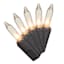 100-Count Clear Mini Lights with Black Wire