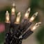 100-Count Clear Mini Lights with Black Wire