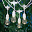 15-Count LED Edison String Lights with White Commercial Wire