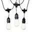 30-Count Clear D40 Edison String Lights with Black Commercial Wire