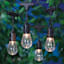 30-Count Clear D40 Edison String Lights with Black Commercial Wire