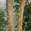 50-Count Solar LED Micro Dot Wire Lights