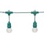 15-Count LED G40 Globe String Lights with Green Commercial Wire