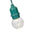 15-Count LED G40 Globe String Lights with Green Commercial Wire
