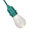 15-Count LED Edison String Lights with Green Commercial Wire