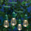 15-Count LED Edison String Lights with Green Commercial Wire