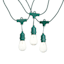 30-Count Clear D40 Edison String Lights with Green Commercial Wire